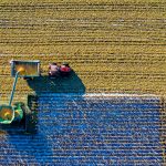 top-view-of-green-field-1595104